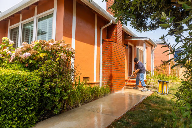 Best Local Pressure Washing Services  in Tucumcari, NM