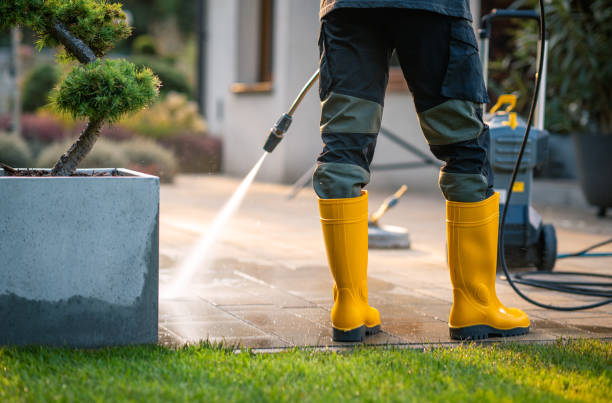 Best Affordable Power Washing  in Tucumcari, NM